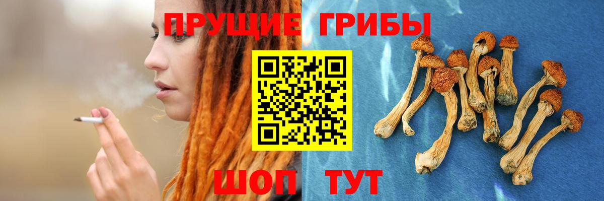 Псилоцибиновые грибы Magic Shrooms  Вход с VPN  Галлюциногенные грибы Cubensis  Партизанск 