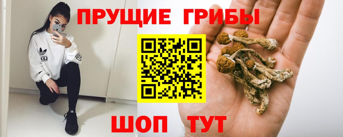 Псилоцибиновые грибы GOLDEN TEACHER Партизанск
